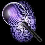 Fingerprint investigation