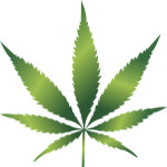 Marijuana - Canabis