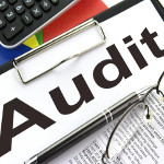 The Art of Negotiating a Software Audit