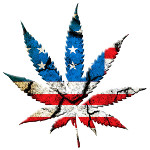 All 2016 Candidates Support Legal Weed – Sort Of