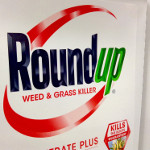 Bayer Bets on ‘Silver Bullet’ Defense in Roundup Litigation; Experts See Hurdles